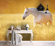 3D Grassland Sunshine White Horse Wall Mural Wallpaper 85- Jess Art Decoration