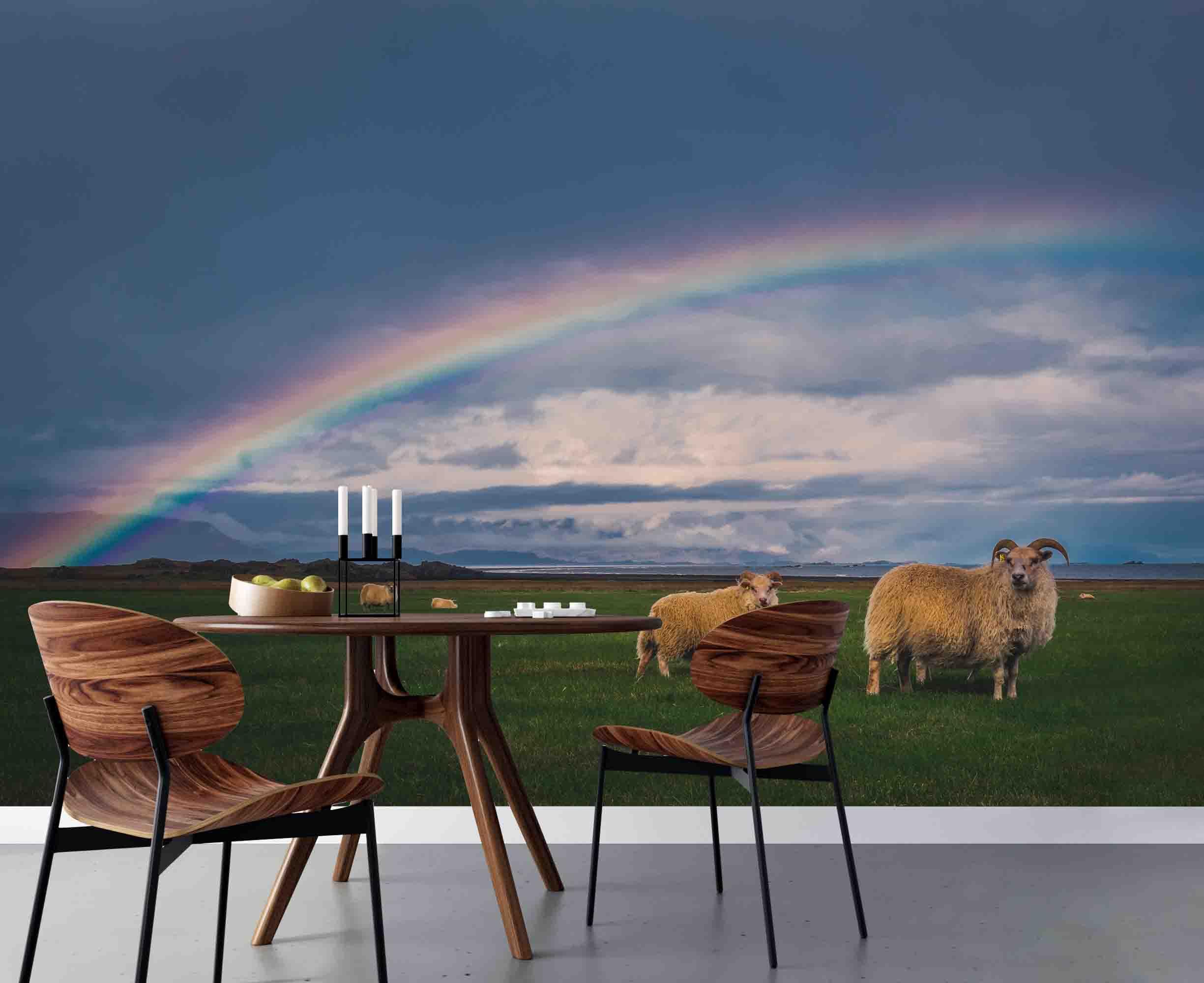 3D Beautiful Sky Sheeps Grass Wall Mural Wallpa 14- Jess Art Decoration