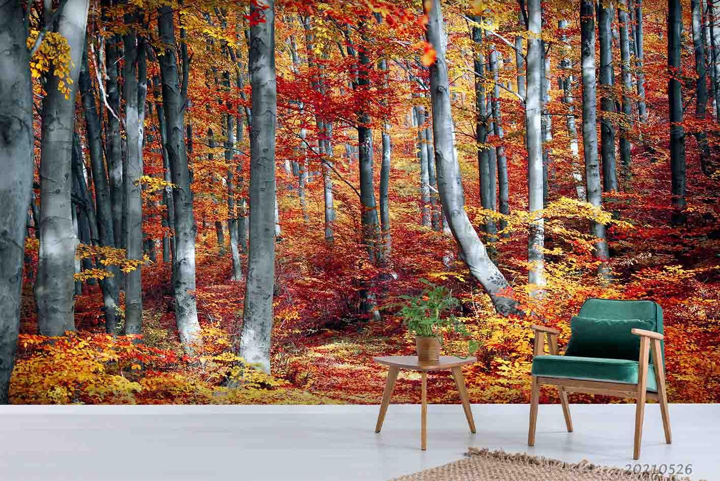 3D Nature Forest Red MapleWall Mural Wallpaper SWW441- Jess Art Decoration