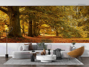 3D Autumn Forest Park Scenery Wall Mural Wallpaper LQH 65- Jess Art Decoration