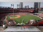 3D Busch Stadium St.Louis Wall Mural Wallpaper GD 1550- Jess Art Decoration