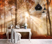3D Forest Sunshine Wall Mural Wallpaper 61- Jess Art Decoration