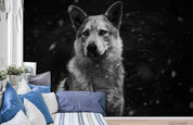 3D Forest Animal Wolf Wall Mural Wallpaper LQH 52- Jess Art Decoration