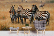 3D African Steppe Zebra Wall Mural Wallpaper 07- Jess Art Decoration
