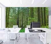 3D Hoh Rain Forest Landscape Wall Mural Wallpaper LQH 218- Jess Art Decoration