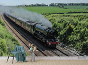 3D Green Forest Train Railroad Track Wall Mural Wallpaper LQH 257- Jess Art Decoration