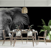 3D Black Elephant Wall Mural Wallpaper sww  43- Jess Art Decoration