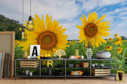 3D blue sky sunflower wall mural wallpaper 5- Jess Art Decoration