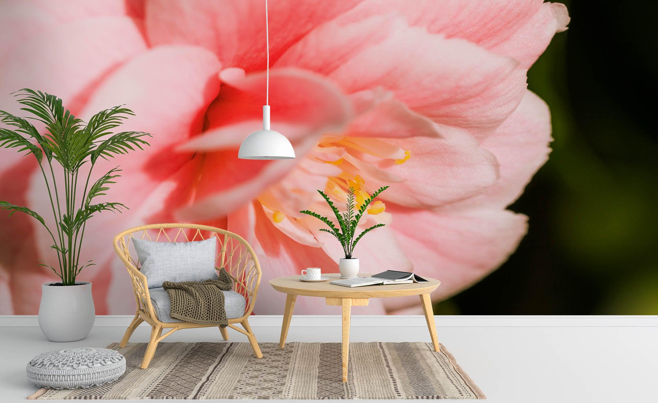 3D Beautiful Pink Big Flower Wall Mural Wallpaper ZY D102- Jess Art Decoration