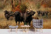3D African Steppe Buffalo Wall Mural Wallpaper 09- Jess Art Decoration