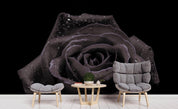 3D Black Rose Wall Mural Wallpaper 4- Jess Art Decoration