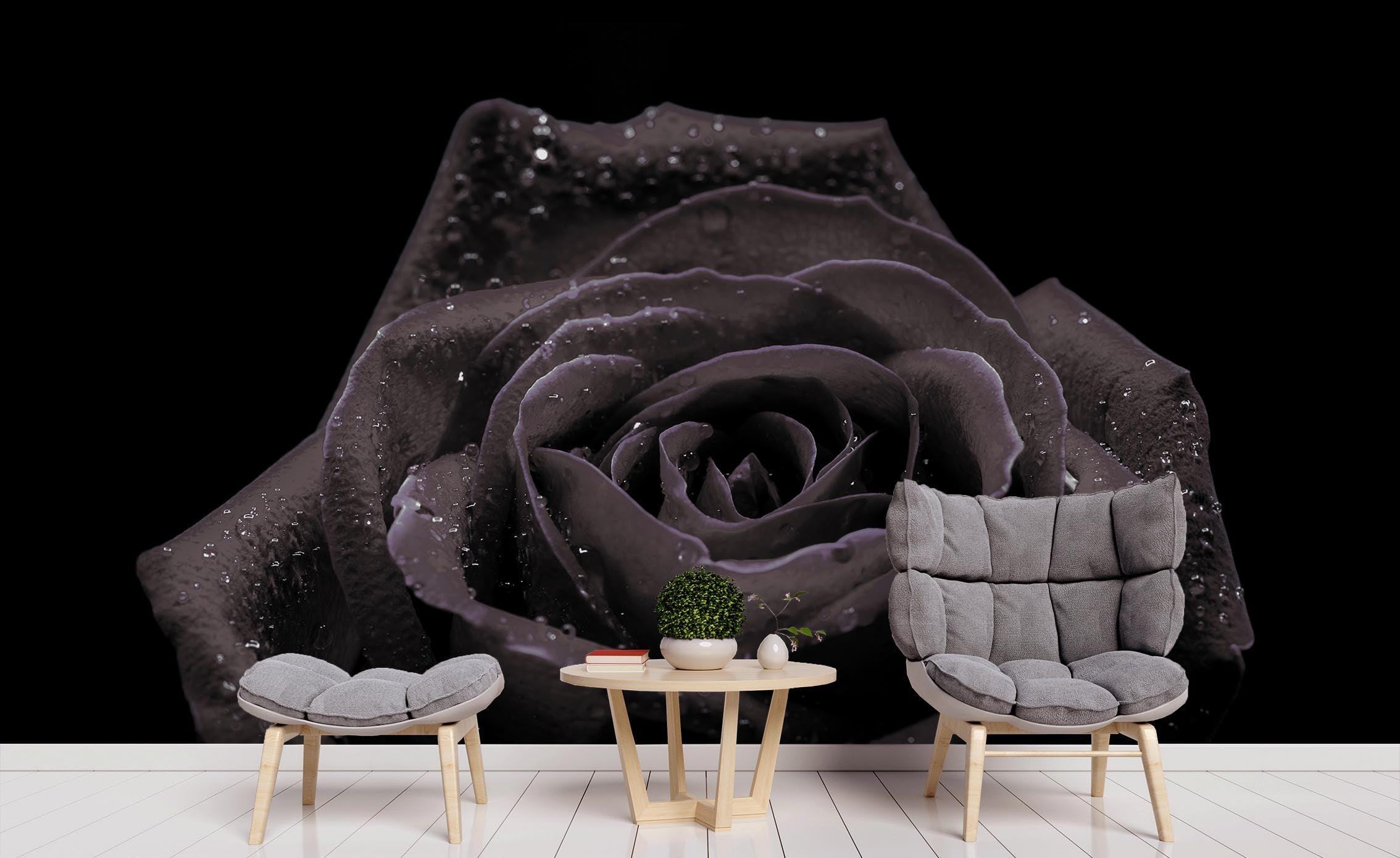 3D Black Rose Wall Mural Wallpaper 4- Jess Art Decoration