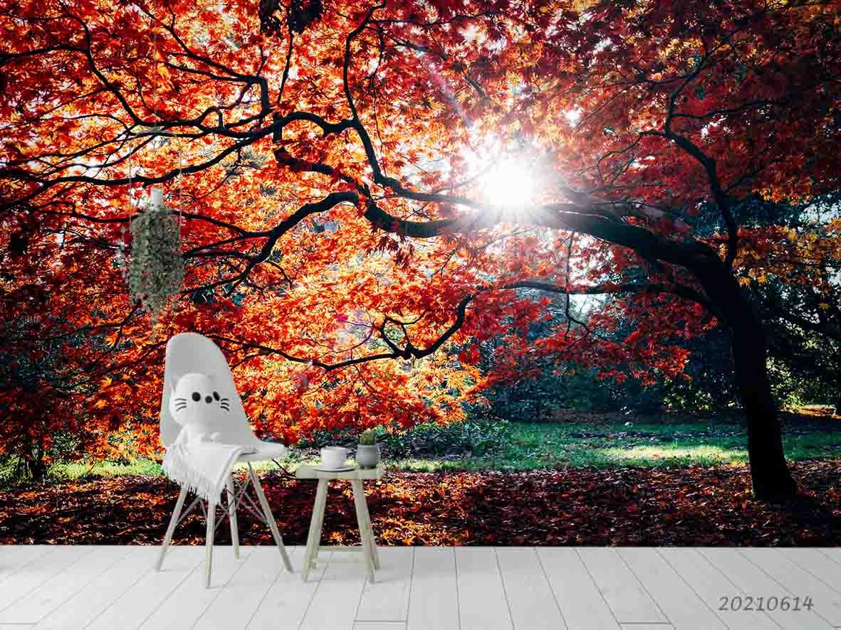 3D Red Maple Woods Park Sunlit Wall Mural Wallpaper SWW2336- Jess Art Decoration