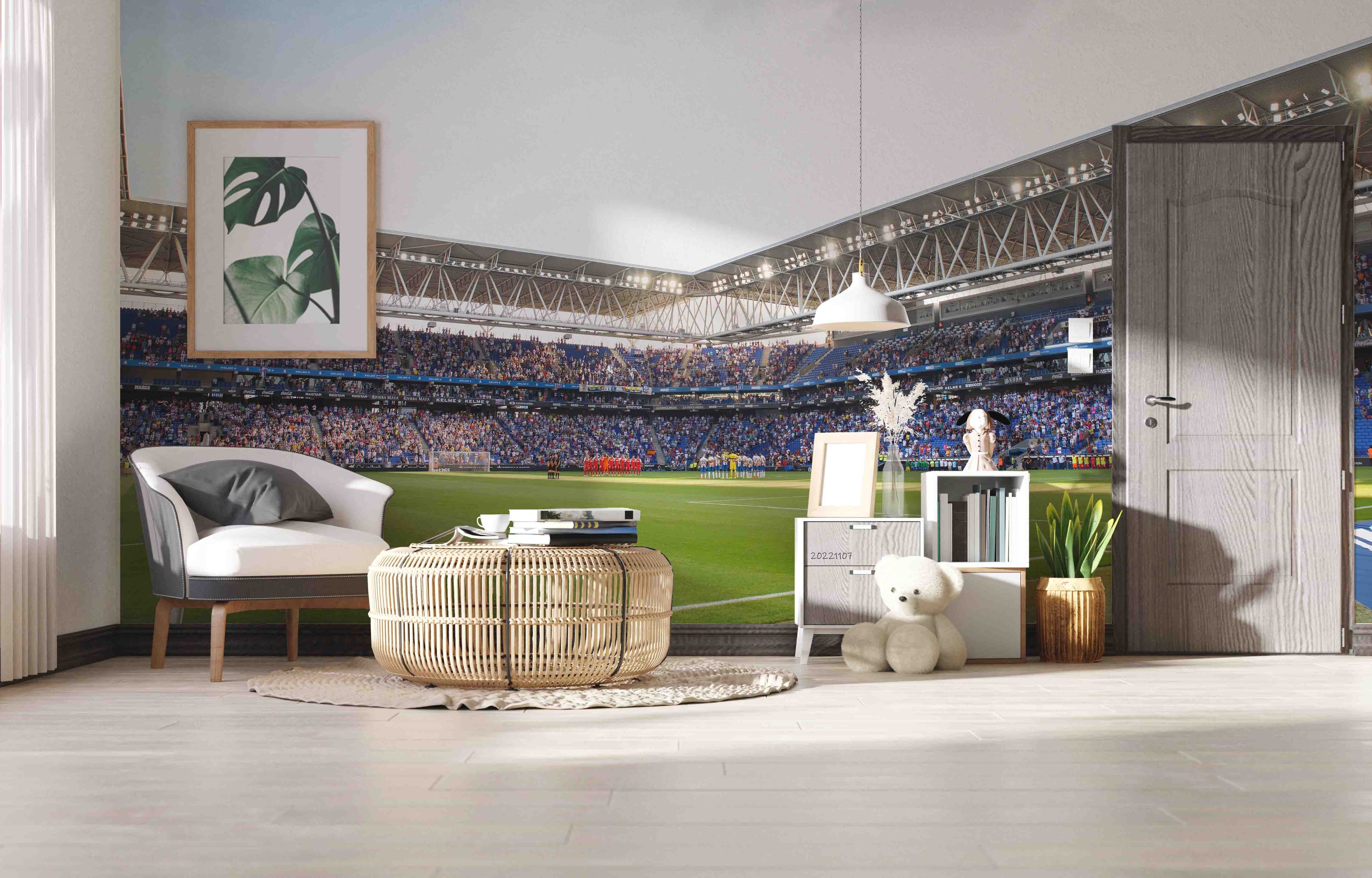 3D Spain RCDE Stadium Wall Mural Wallpaper GD 63- Jess Art Decoration