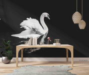 3D White Swan Black Background Wall Mural Wallpaper SWW1667- Jess Art Decoration