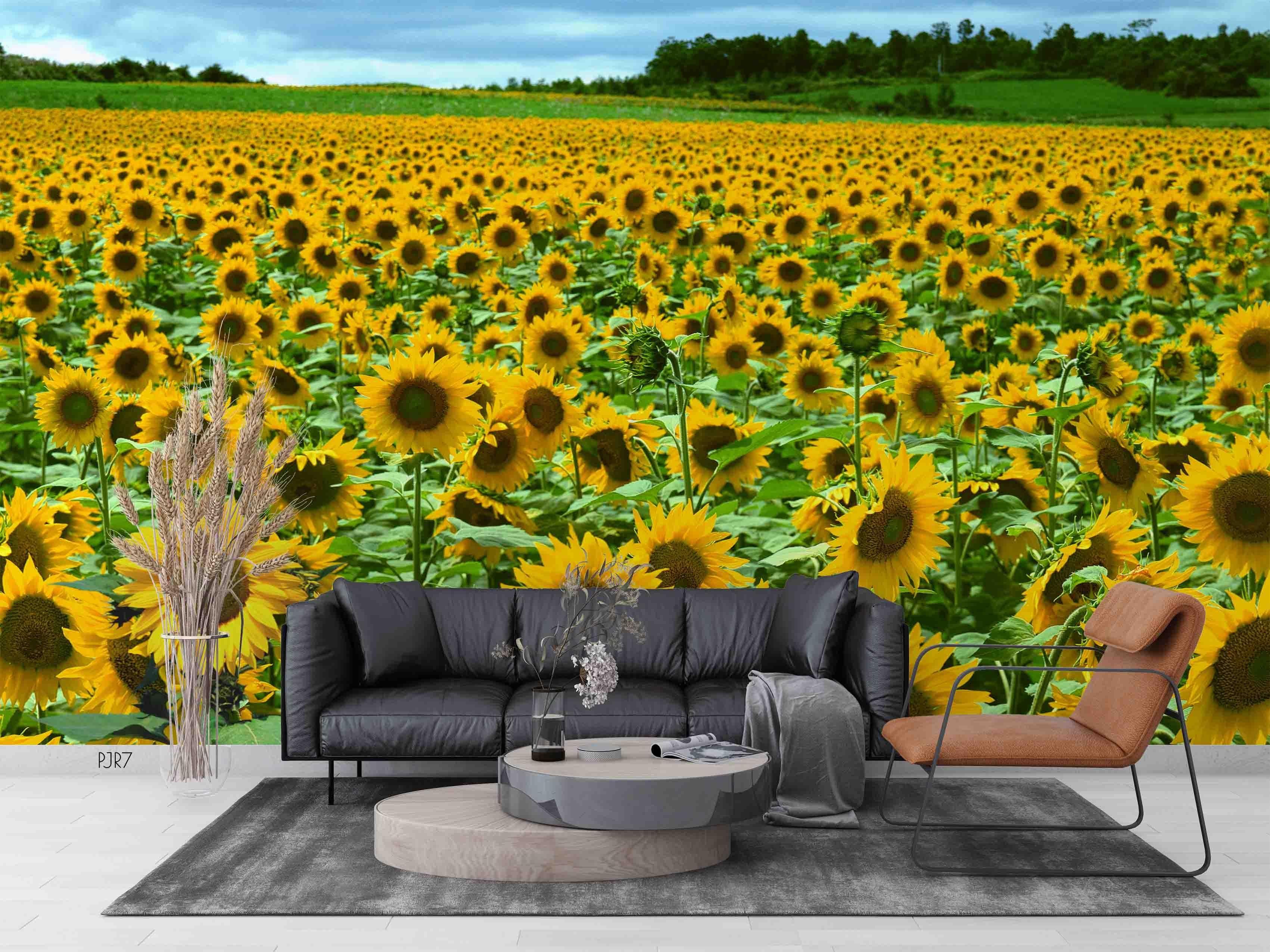 3D Sunflower Field bright sunflower landscape wall mural wallpaper for living room