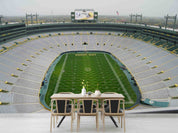 3D Lambeau Field USA Wall Mural Wallpaper GD 1455- Jess Art Decoration