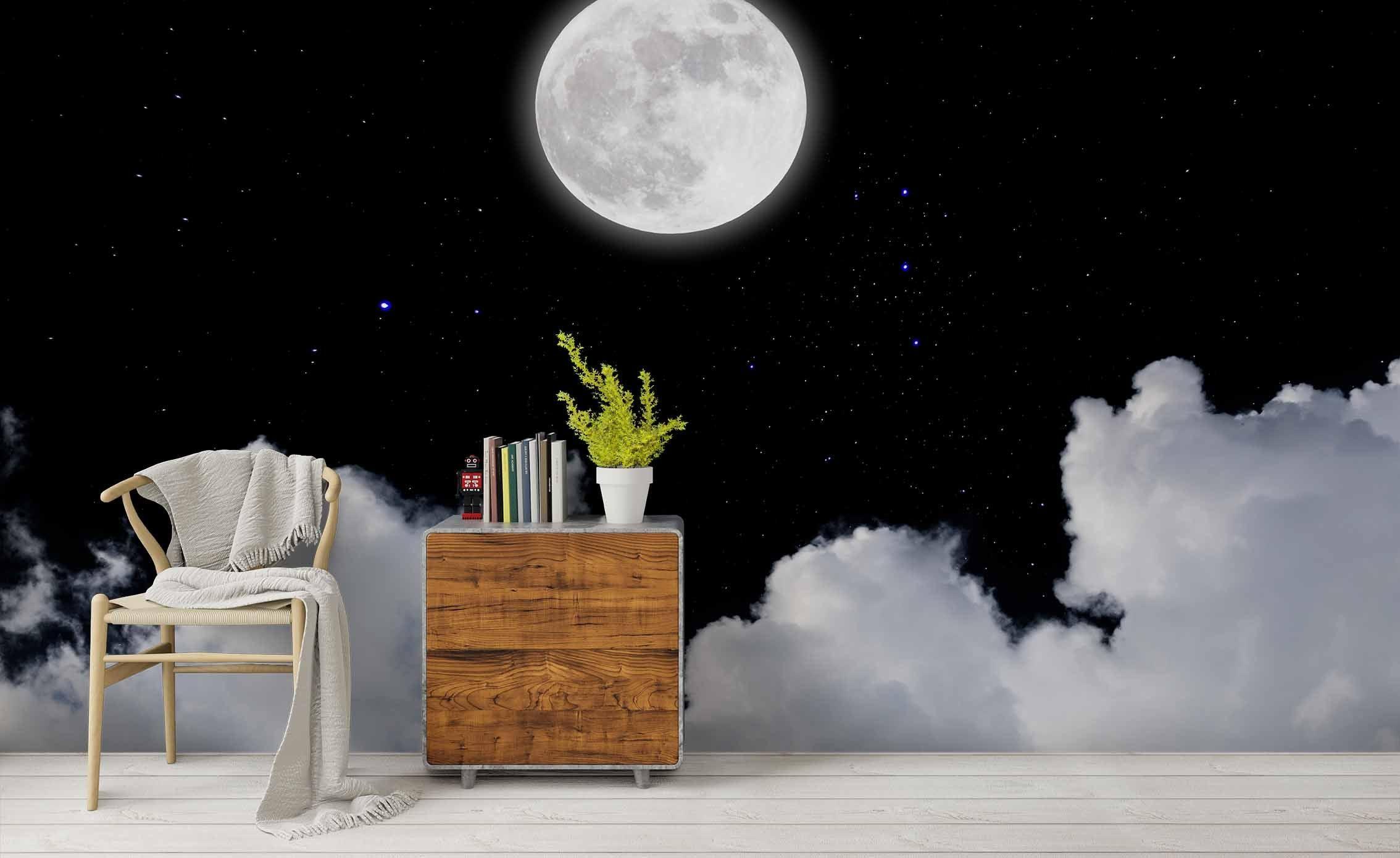 3D Moon Night Sky Wall Mural Wallpaper 43- Jess Art Decoration