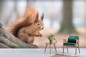 3D Wild Animal Squirrel Wall Mural Wallpaper LQH 118- Jess Art Decoration