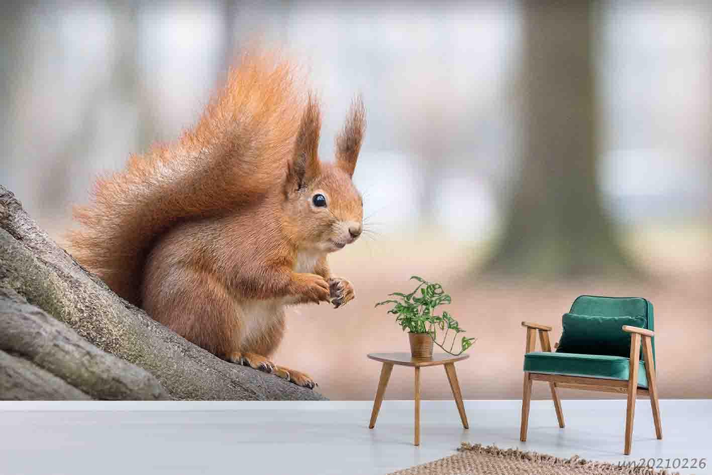 3D Wild Animal Squirrel Wall Mural Wallpaper LQH 118- Jess Art Decoration
