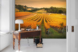 3D Golden Sunshine Vineyard Wall Mural Wallpaper 69- Jess Art Decoration