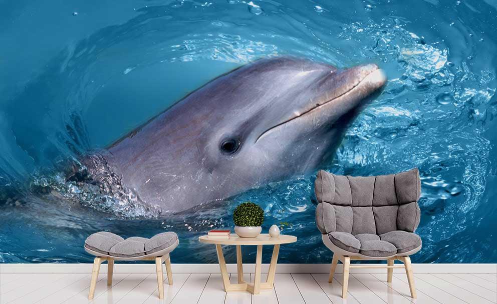 3D Blue Sea Dolphin Wall Mural Wallpaper 148- Jess Art Decoration