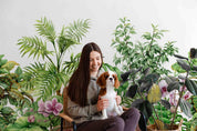 3D Tropic Plant Leaves Wall Mural Wallpaper SWW 192- Jess Art Decoration