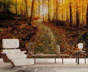 3D Autumn Forest Sunny Wall Mural Wallpaper  sww 211- Jess Art Decoration