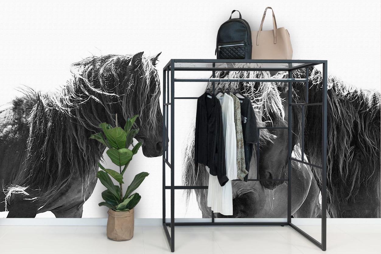 3D black white grassland horse wall mural wallpaper 46- Jess Art Decoration