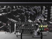 3D Fitness Equipment Dumbbell Wall Mural Wallpaper GD 3000- Jess Art Decoration
