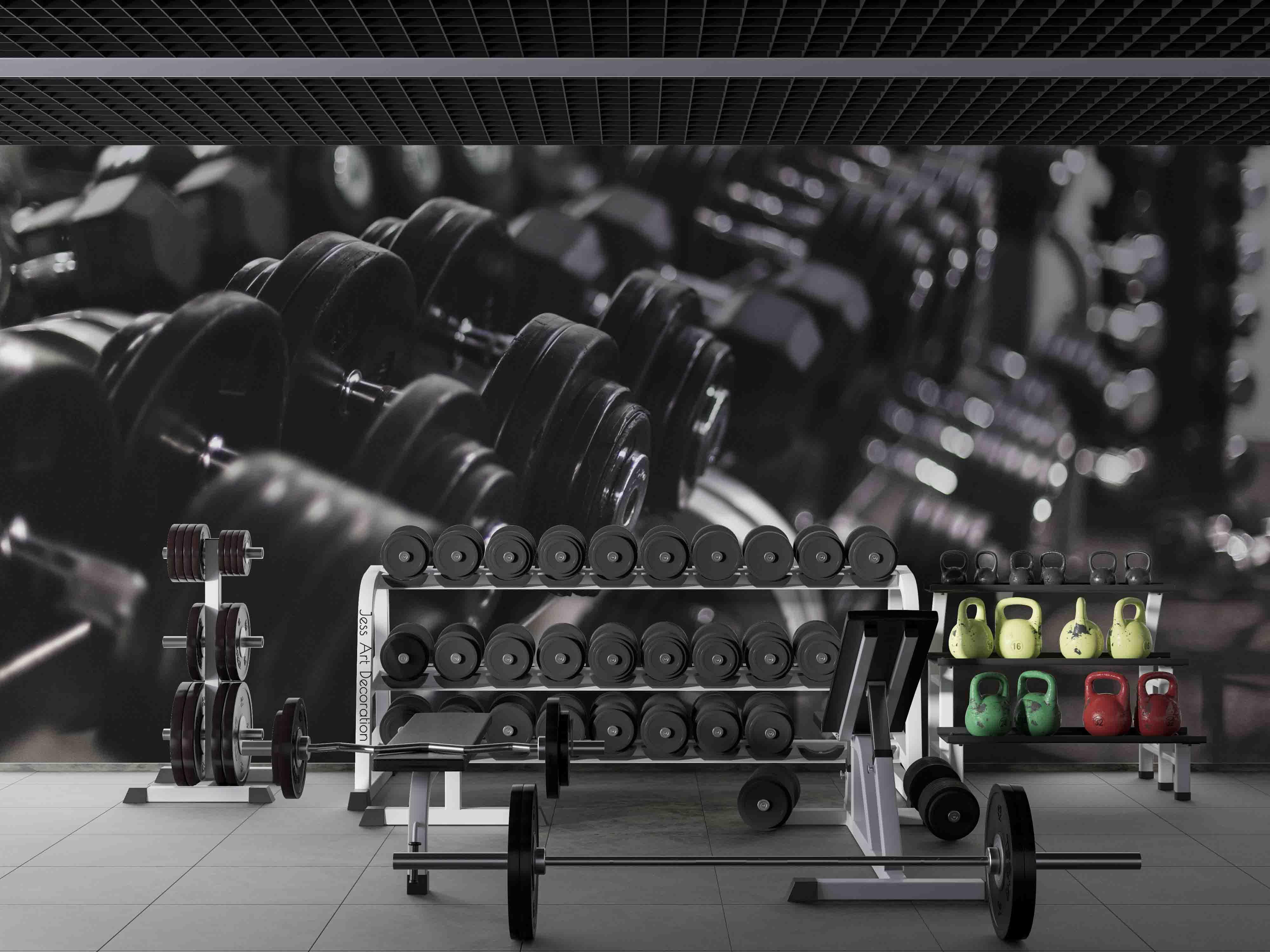 3D Fitness Equipment Dumbbell Wall Mural Wallpaper GD 3000- Jess Art Decoration