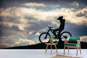 3D Dusk Ride Bike Silhouette Grassland Sky Wall Mural Wallpaper SWW1851- Jess Art Decoration