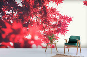 3D Red Maple Leaves Wall Mural Wallpaper SWW3983- Jess Art Decoration