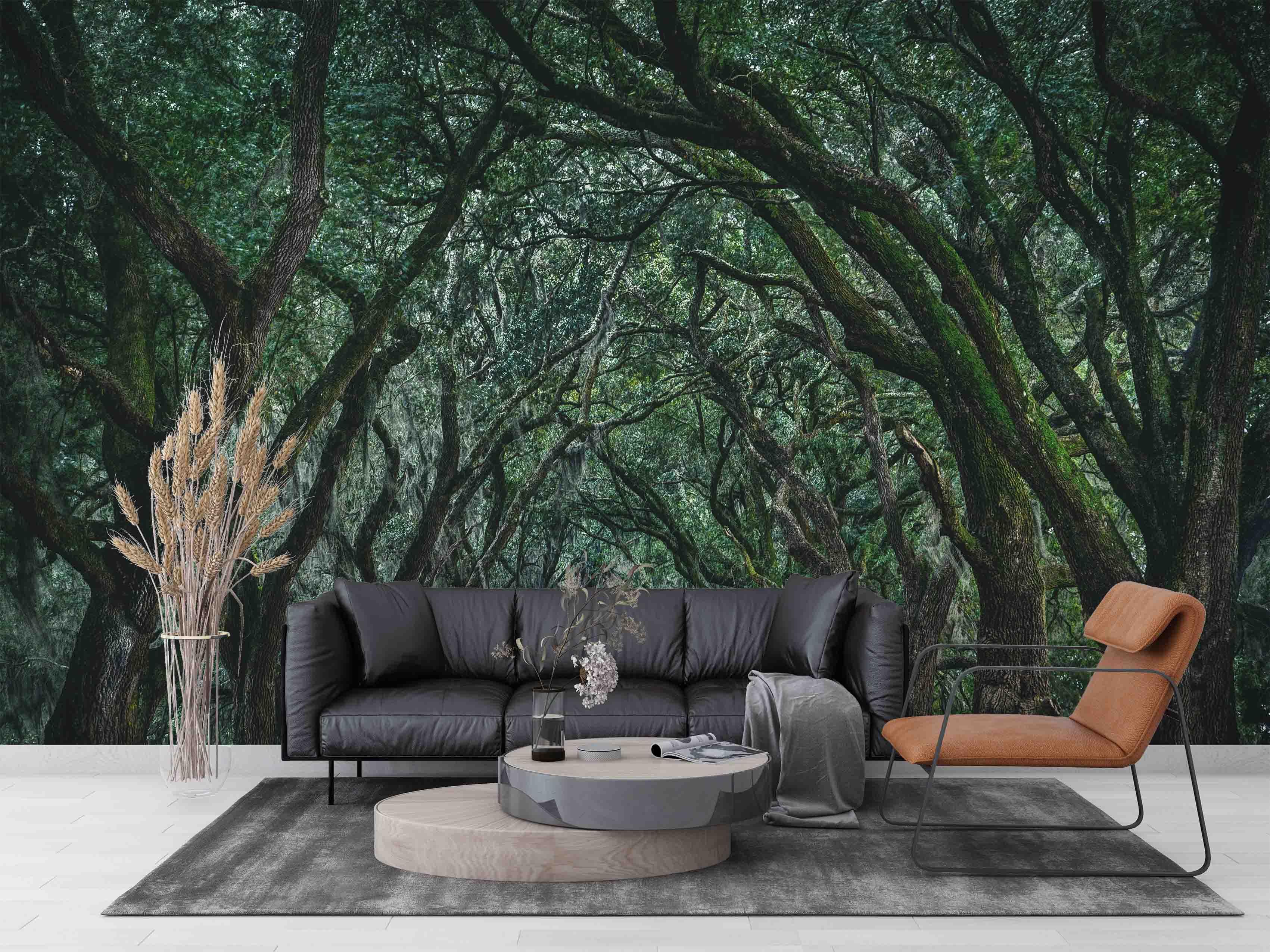 3D Hoh Rain Forest Landscape Wall Mural Wallpaper LQH 220- Jess Art Decoration
