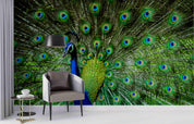 3D Peacock Open Screen Feather Wall Mural Wallpaper GD 2675- Jess Art Decoration