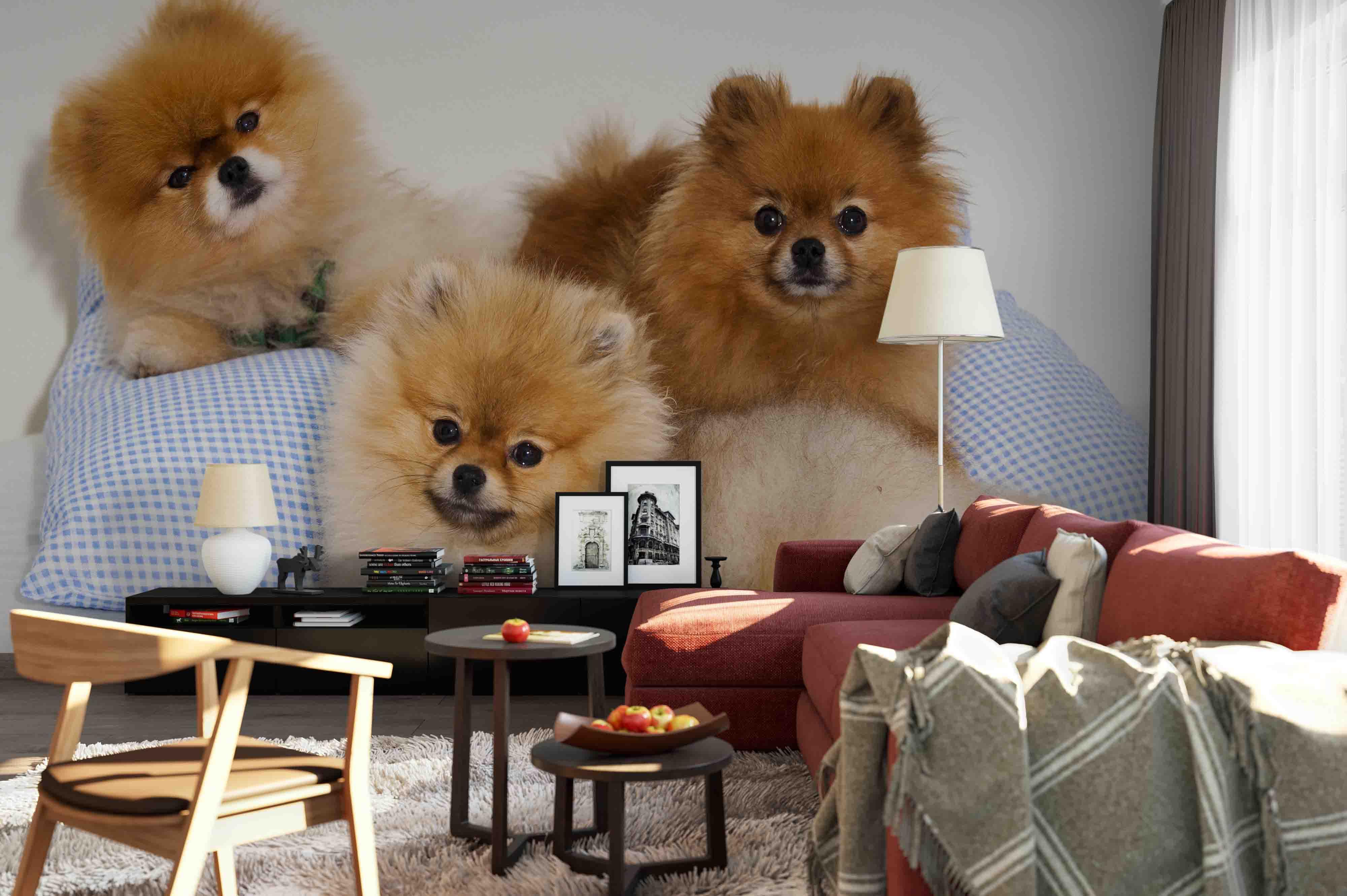 3D Pillow Puppy Dog Wall Mural Wallpaper 116- Jess Art Decoration