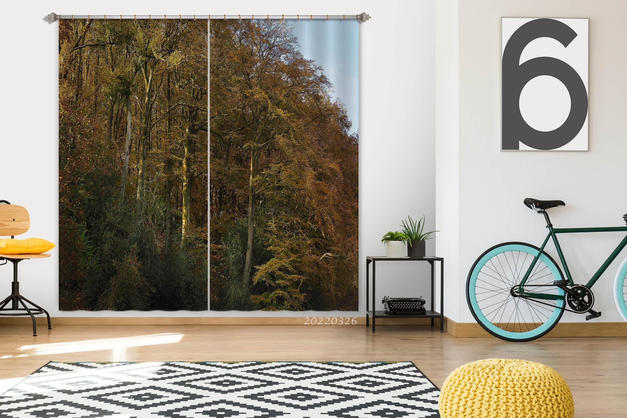 3D Landscape Mountain Forest Sunbeam Curtains and Drapes GD 2989- Jess Art Decoration