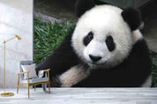3D Wild Animal Panda Wall Mural Wallpaper LQH 208- Jess Art Decoration