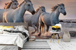 3D white horses camargue france wall mural wallpaper 69- Jess Art Decoration