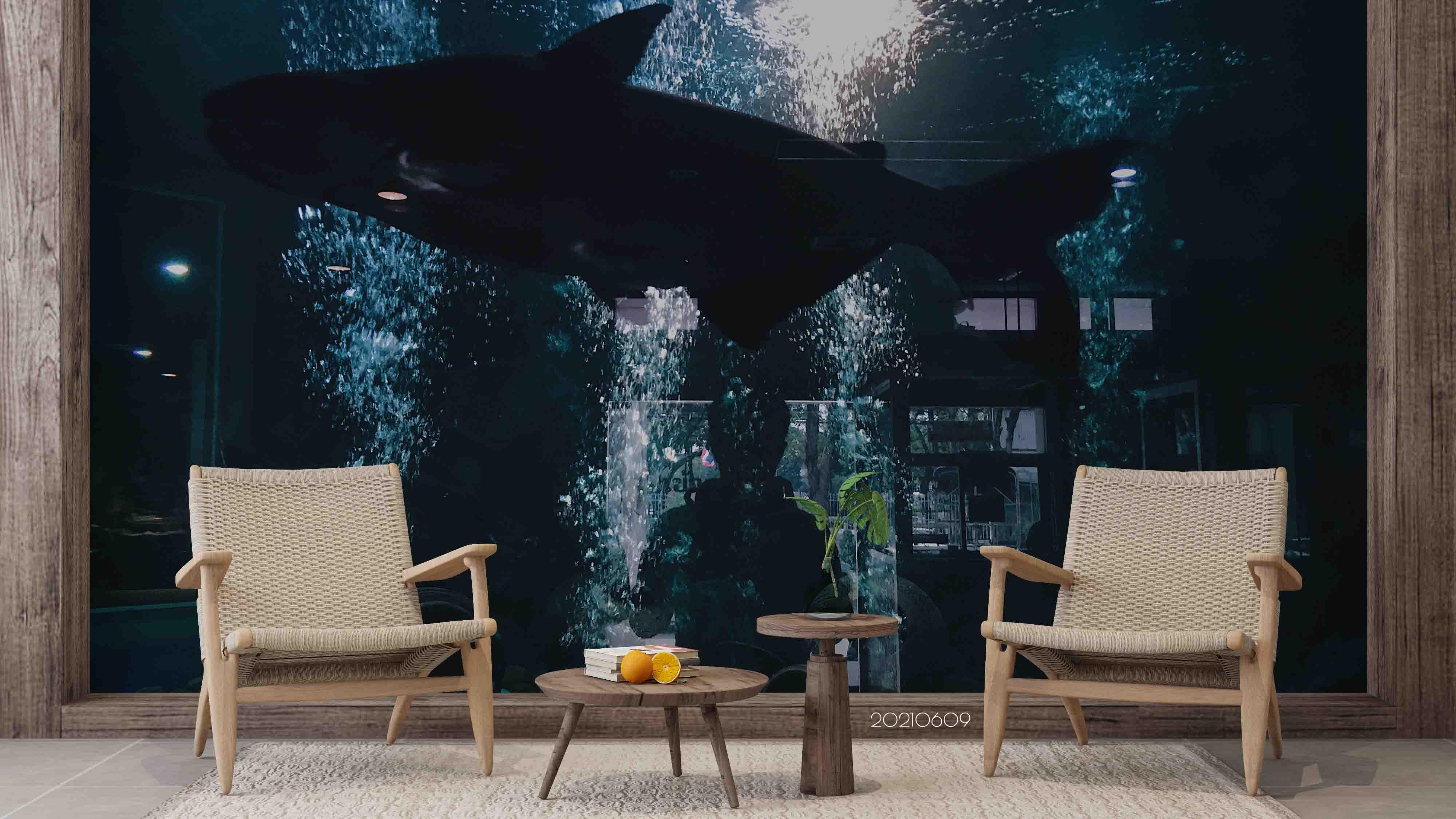 3D  Black Shark  Animal Wall Mural Wallpaper SWW1739- Jess Art Decoration