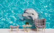 3D Blue Ocean Dolphin Wall Mural Wallpaper 161- Jess Art Decoration