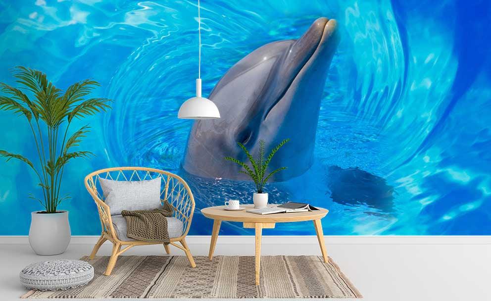 3D Blue Ocean Dolphin Wall Mural Wallpaper 157- Jess Art Decoration