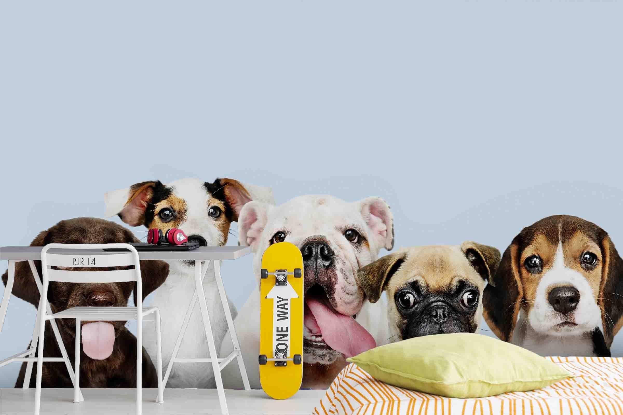 3D Cute Dog Portraits dog portrait animal mural wall mural wallpaper for kids room - view 2