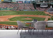 3D Boston Fenway Park Wall Mural Wallpaper GD 1568- Jess Art Decoration