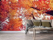 3D Plant Forest Maple Leaf Red Landscape Wall Mural Wallpaper LLL 1968- Jess Art Decoration