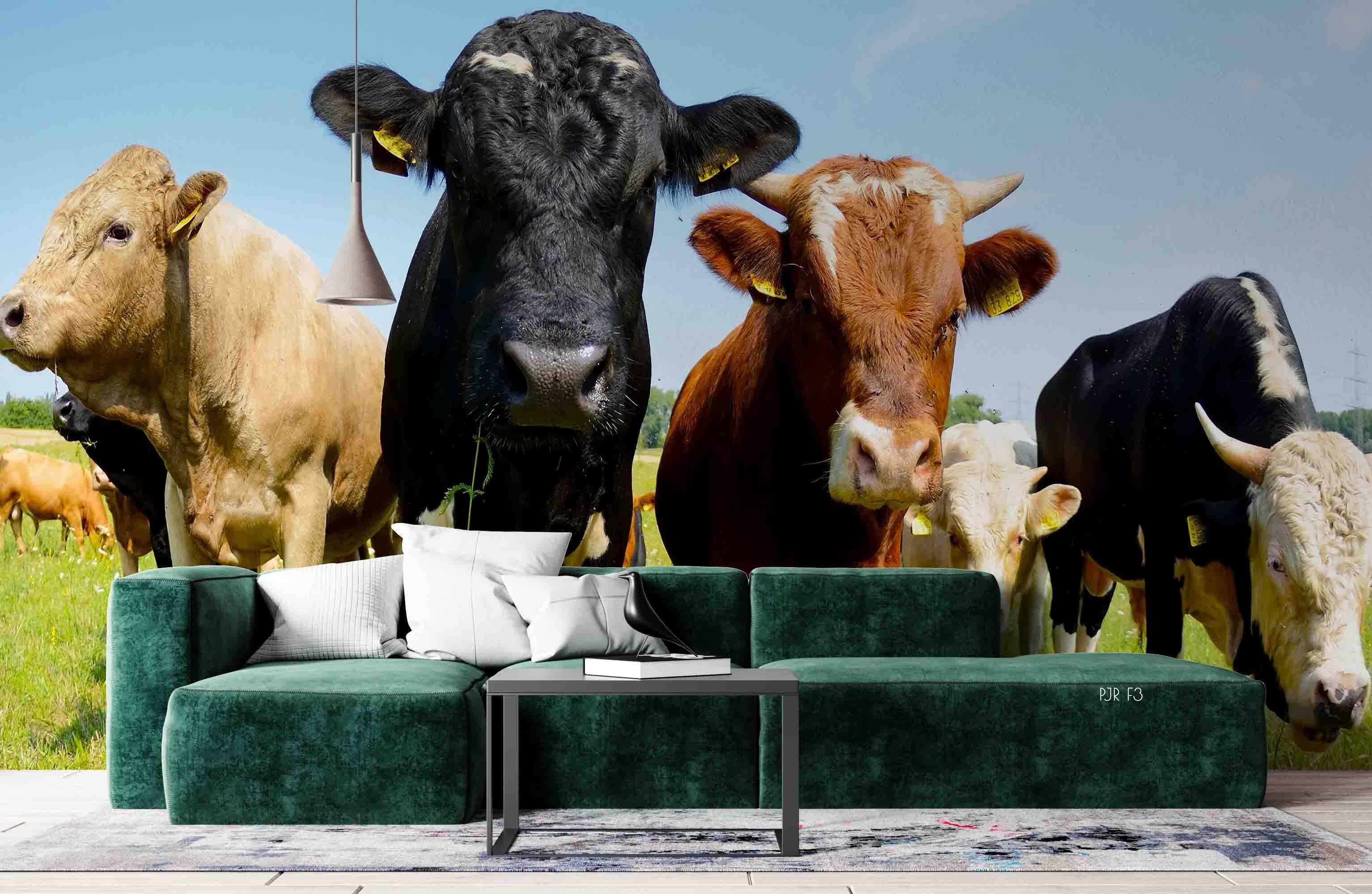 3D Farm Cow Grassland farm cow animal mural wall mural wallpaper for kids room