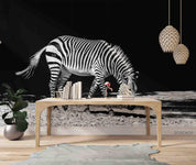 3D Zebra Black Background Wall Mural Wallpaper SWW1734- Jess Art Decoration
