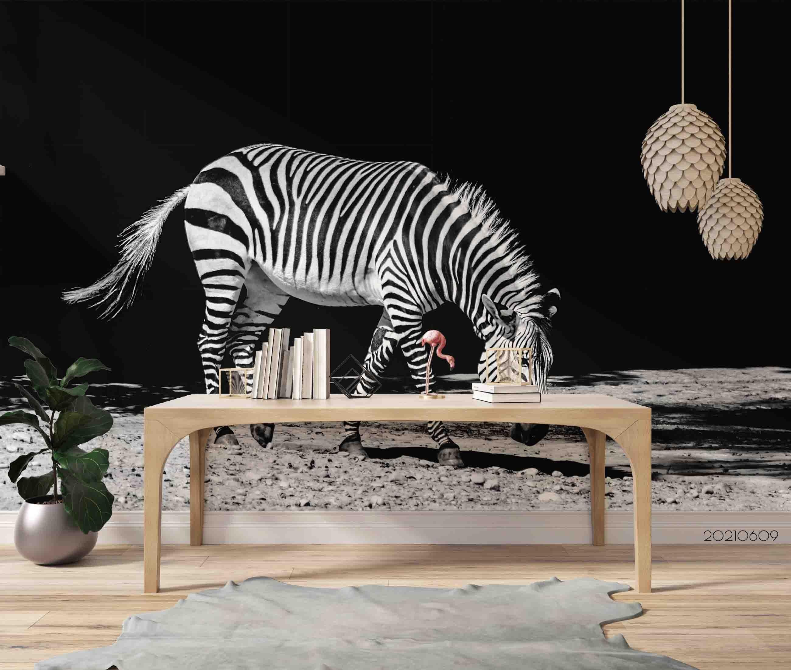 3D Zebra Black Background Wall Mural Wallpaper SWW1734- Jess Art Decoration