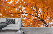 3D Autumn Maple Leaf Wall Mural Wallpaper LQH 305- Jess Art Decoration