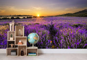 3D Lavender Field Sunrise Wall Mural Wallpaper 08- Jess Art Decoration